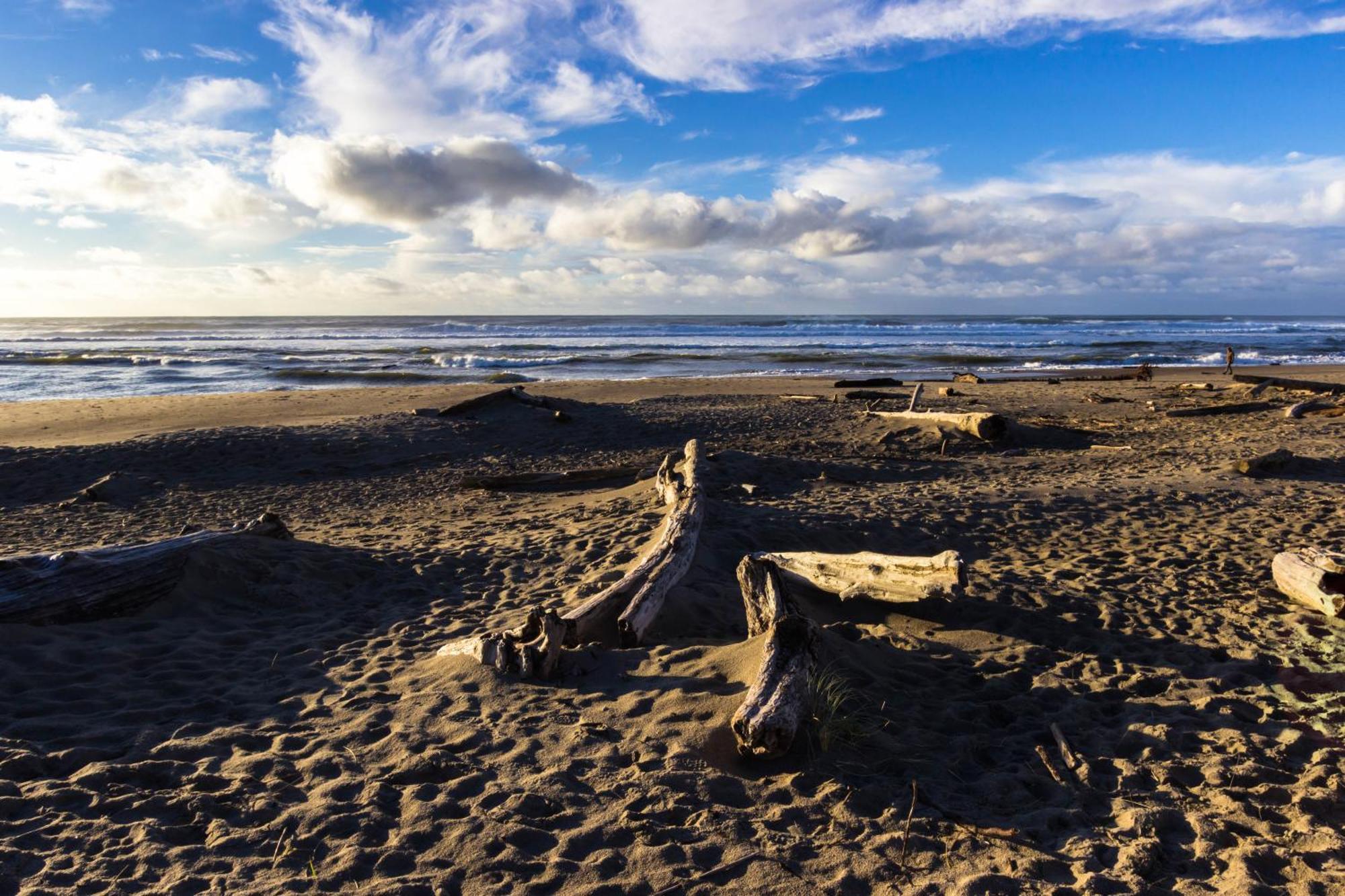 The Whale At Sandstone Point Apartment Lincoln City Bilik gambar